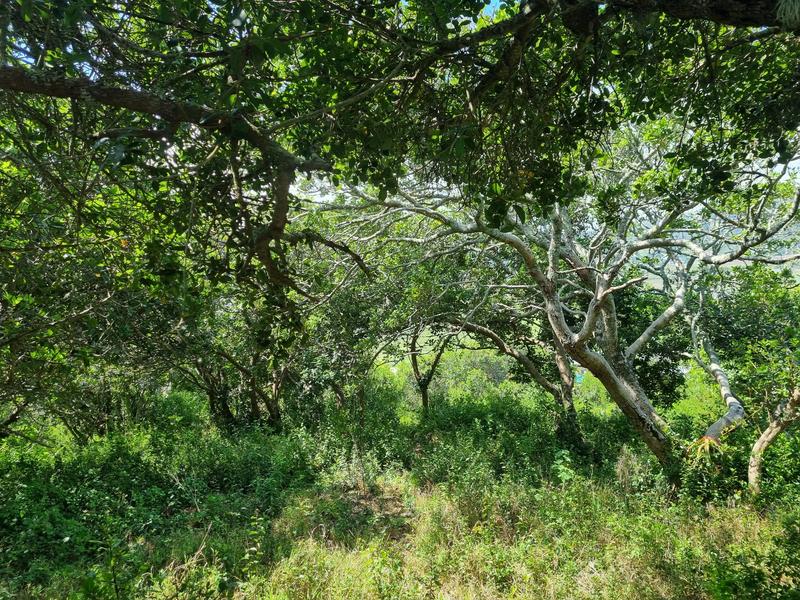 0 Bedroom Property for Sale in Groot Brakrivier Central Western Cape